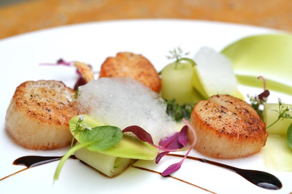 Alaskan Scallops