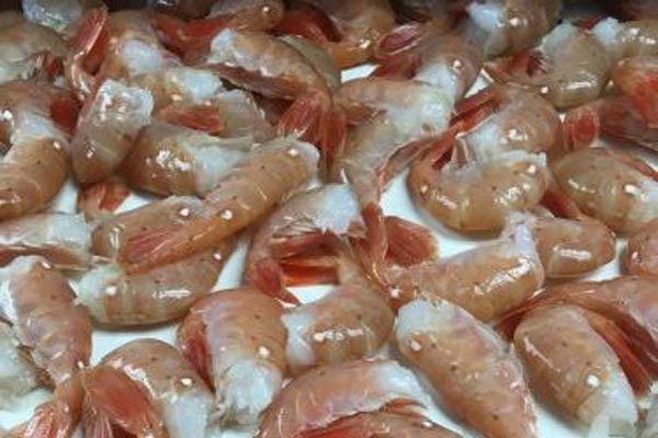 Alaskan Spot Shrimp