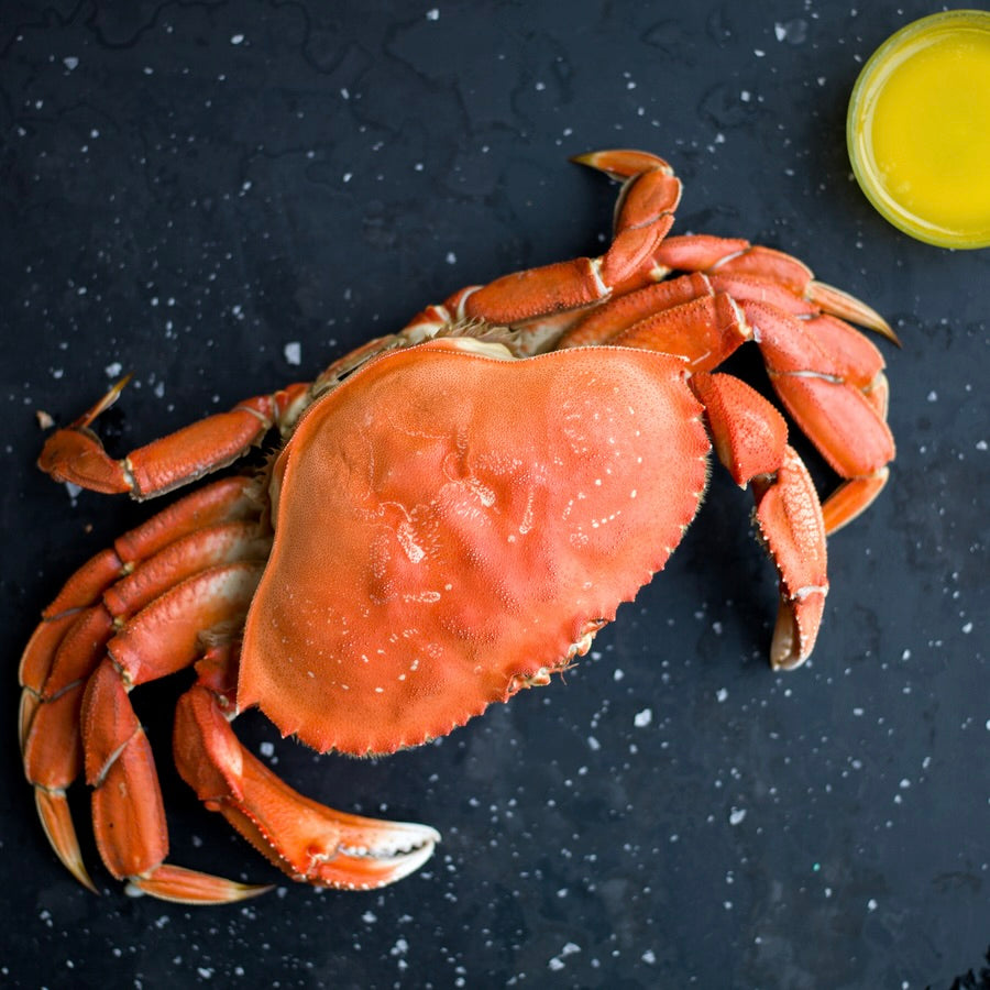 Whole Dungeness Crab