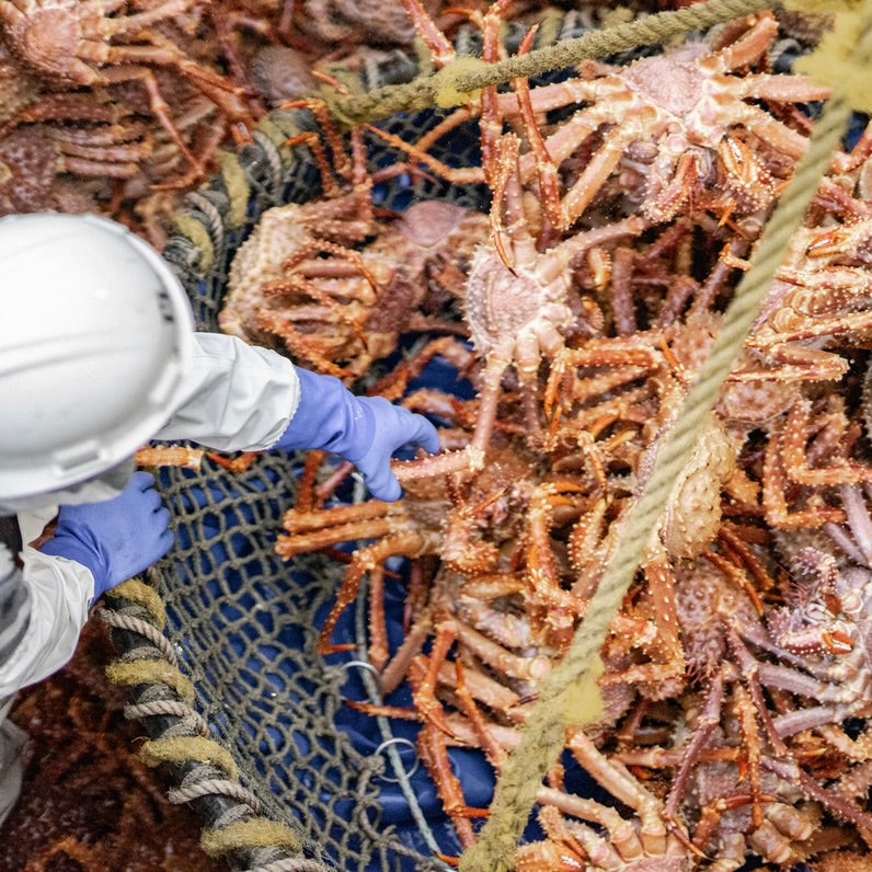 Large Golden King Crab legs & claws