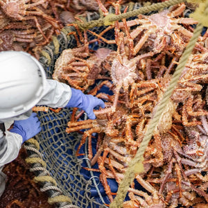 Large Golden King Crab legs & claws