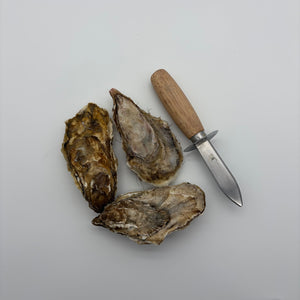 Fresh Alaskan Kachemak Bay Oysters 5 Dozen
