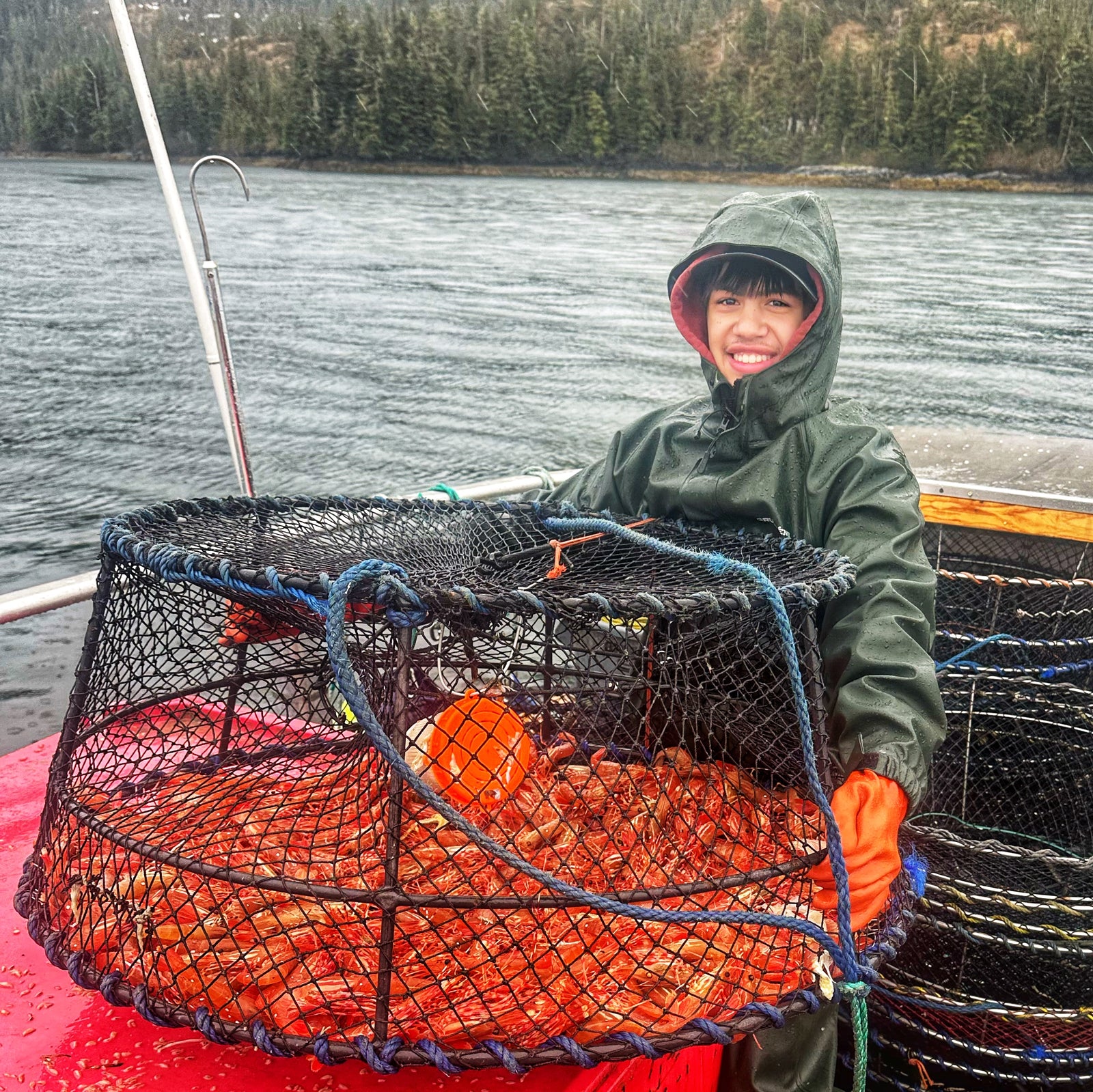 Alaskan Spot Shrimp (Large)