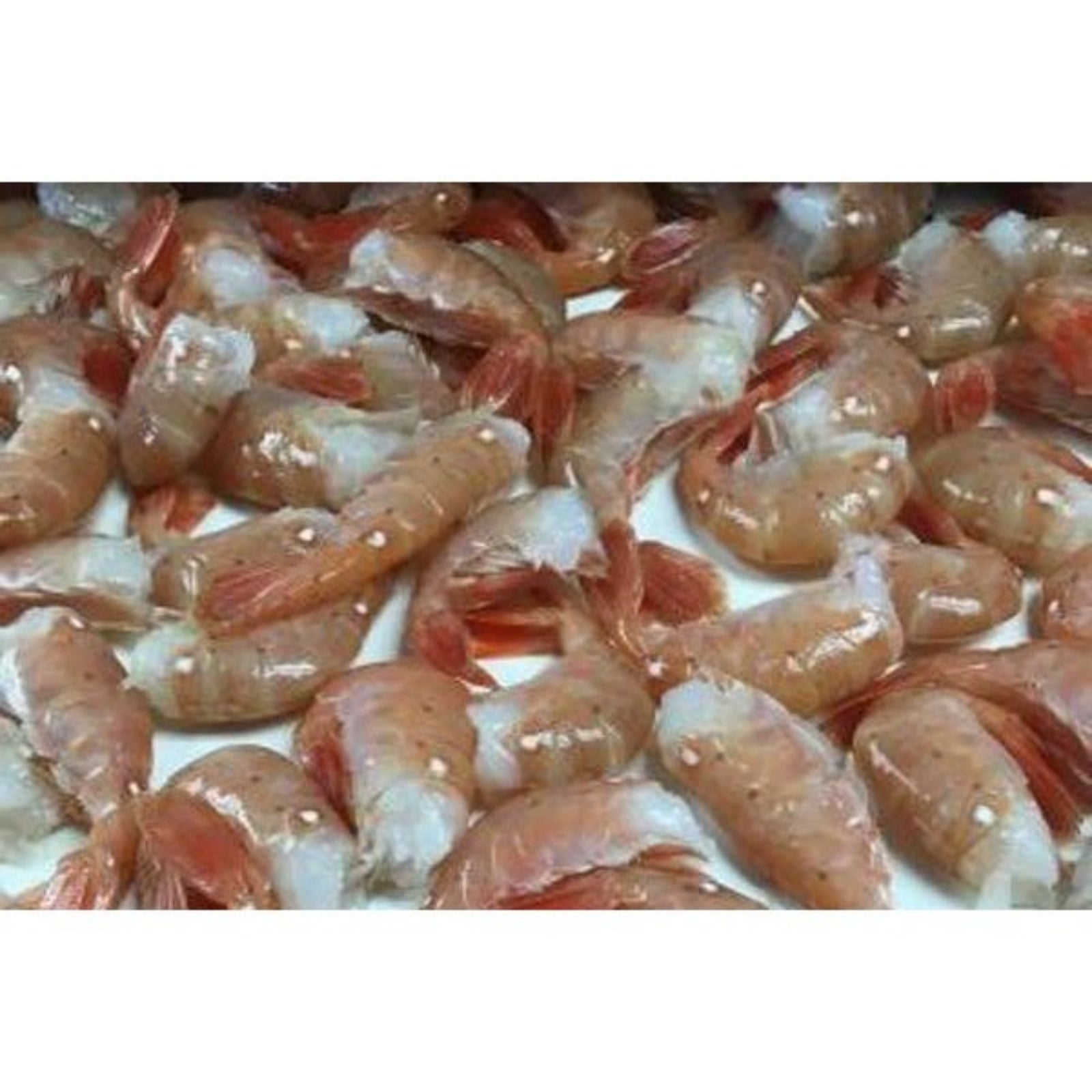 Alaskan Spot Shrimp (Colossal)