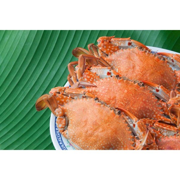 Whole Dungeness Crab