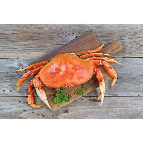 Dungeness Crab 2# and Larger
