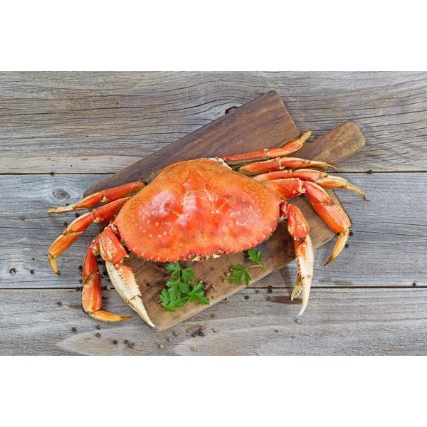 dungeness crab kaufen Whole Dungeness Crab