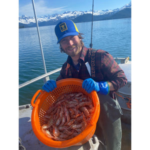 Alaskan Spot Shrimp (Large)