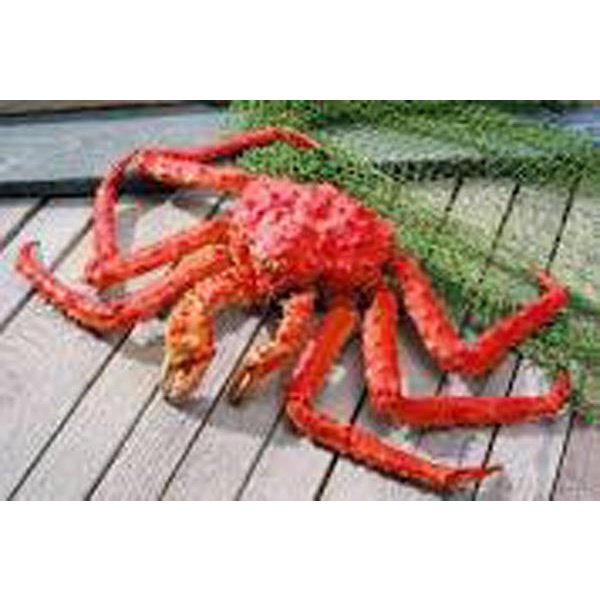Buy Colossal King Crab Legs shipped free when you purchase 8# or