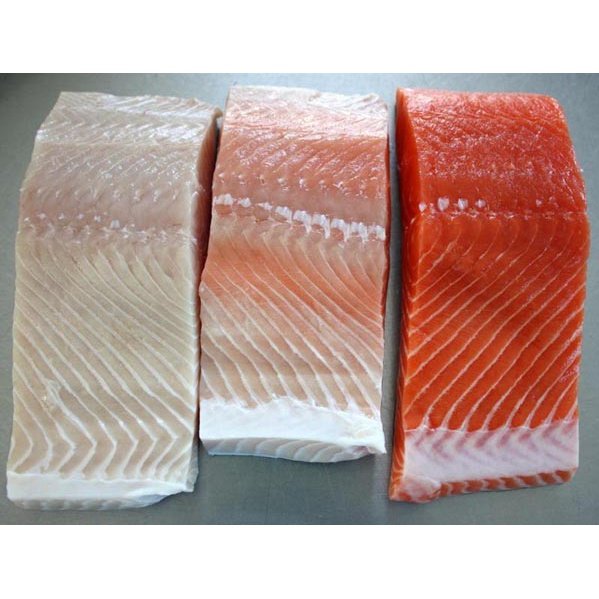 White Salmon Coho Salmon
