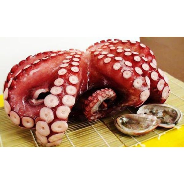Tako Octopus (Whole) - Tanner's Alaskan Seafood